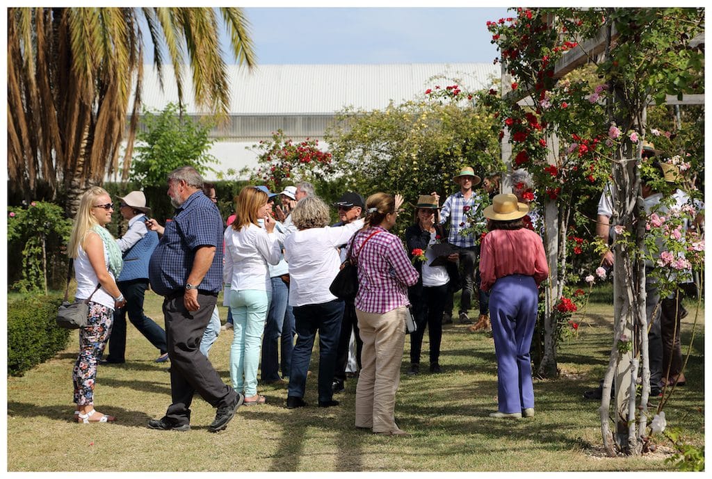 rosales-ferrer-cursos-ponencias