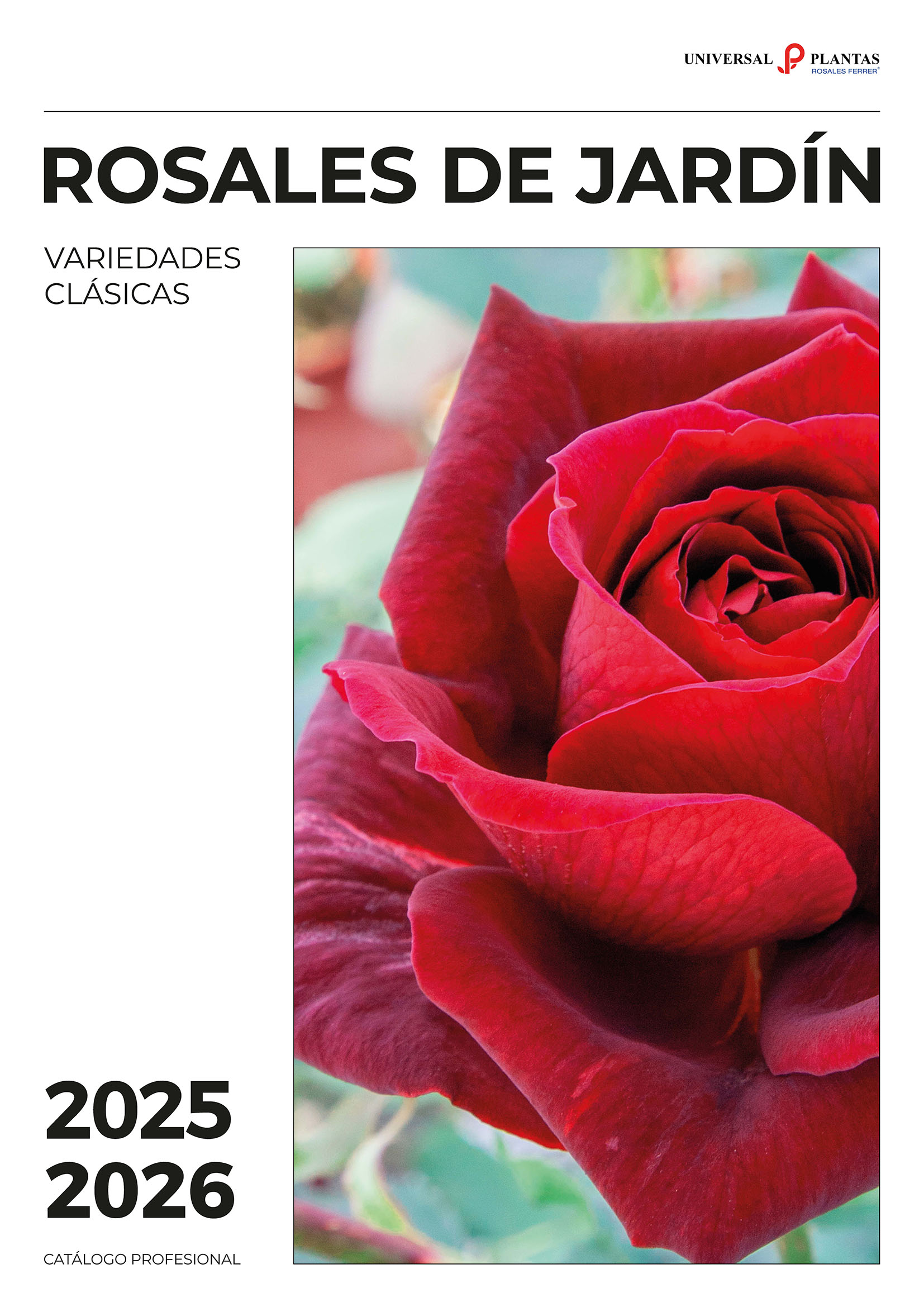 rosales_ferrer_rosal