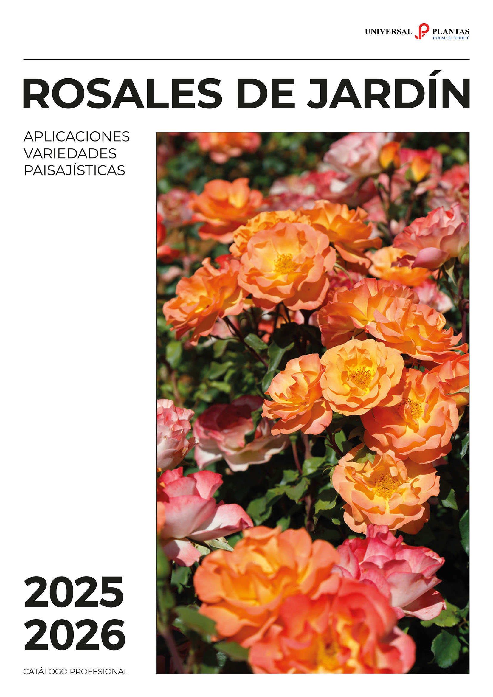 rosales_ferrer_rosal_meilland